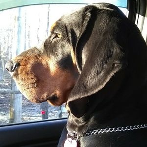 Meet your Posher, Doris